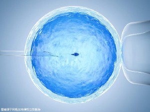 供卵代生医院门诊